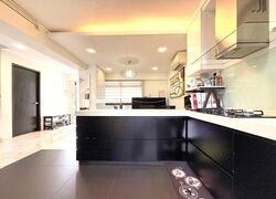 Blk 544 Panshan Grove (Bukit Panjang), HDB Executive #492629161